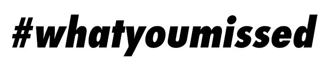 whatyoumissed-v2-divider.jpg
