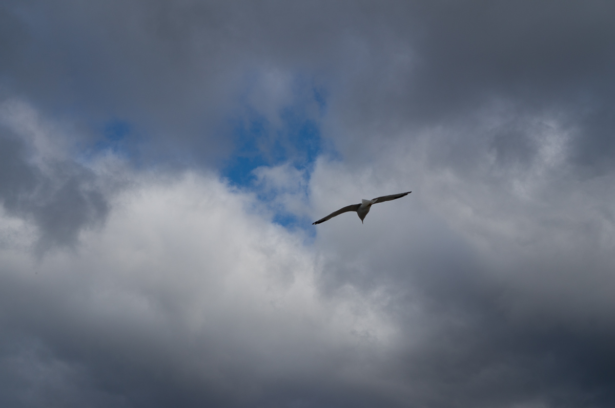 DSC01143.jpg