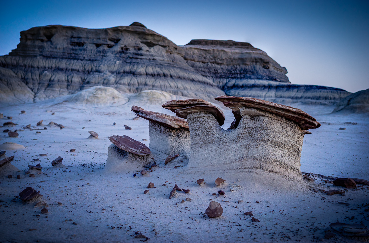 Pre-dawn light in the Rock Garden