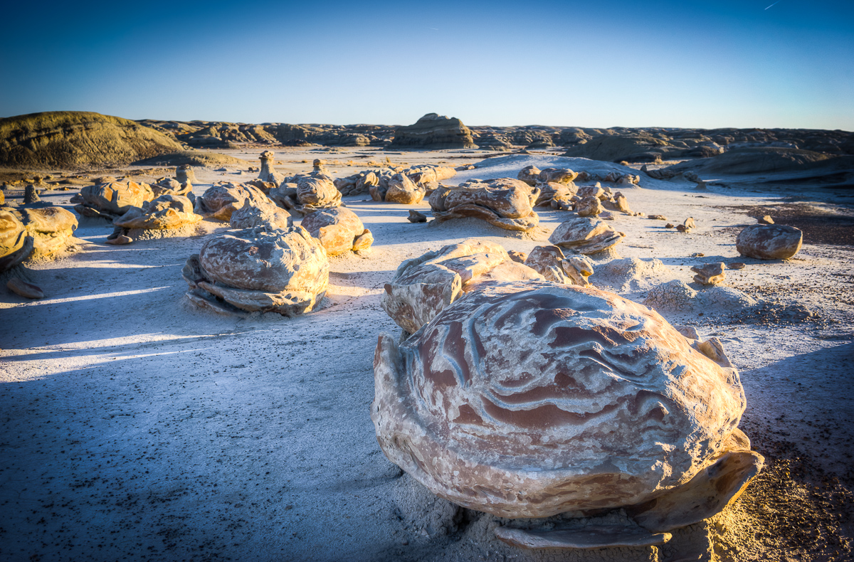 Some call it "The Egg Farm." To others, it is "The Alien Hatchery."