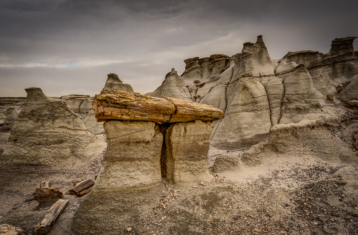 The land around this tree has eroded in a way that makes the tree look as though it is sitting on a sacrificial altar. The pieces of the tree below, fallen to the ground after other pieces of the "altar" have eroded away seem to reinforce this notion.