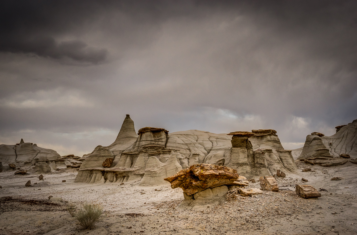 A piece of petrified wood lies in front of a really cool ashy clay/sandstone formation.