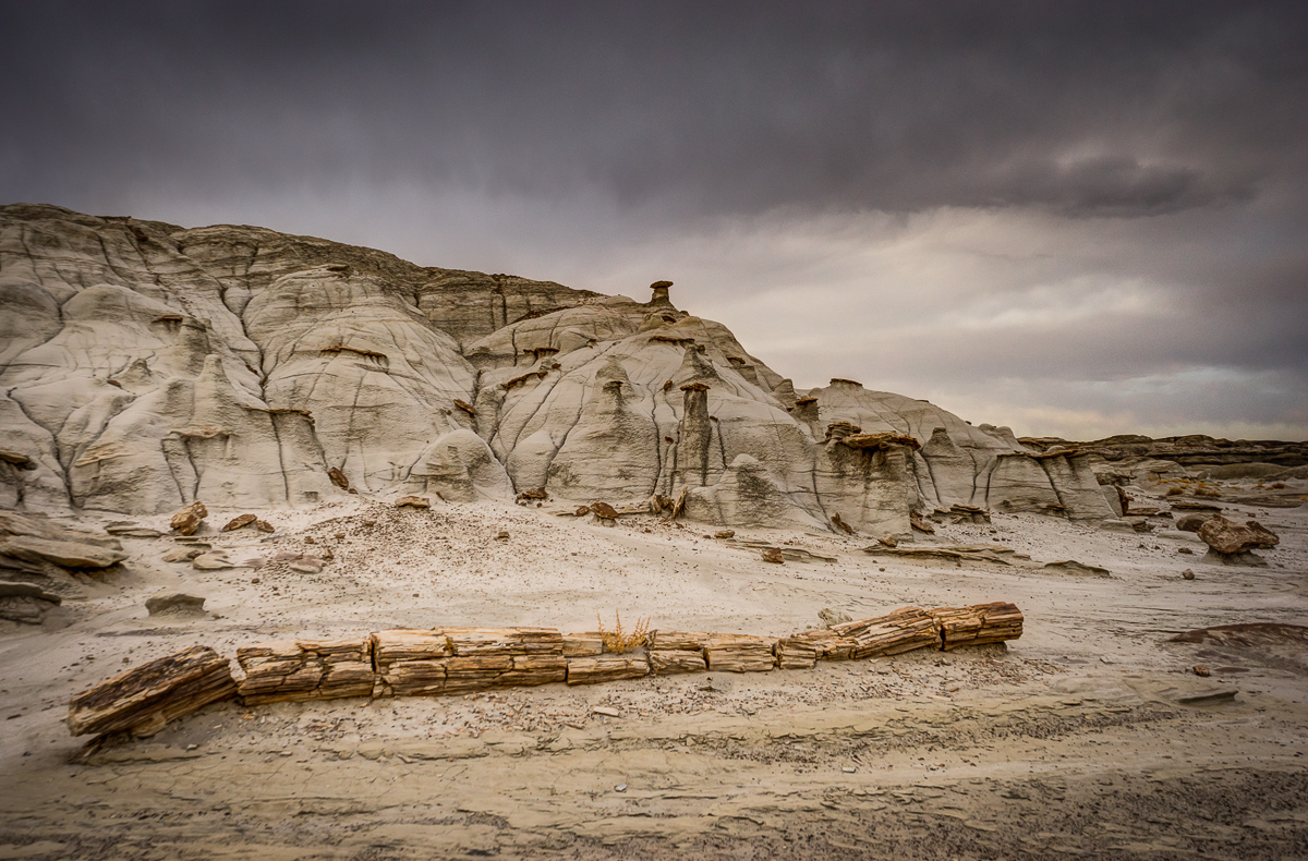 A petrified tree lays in front of an ashy clay and sandstone formation about 20 feet tall.