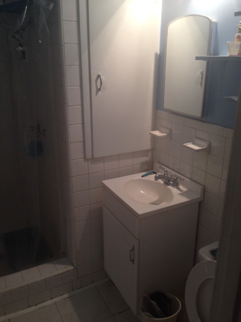 BEFORE, Master Bath? Not very masterful.