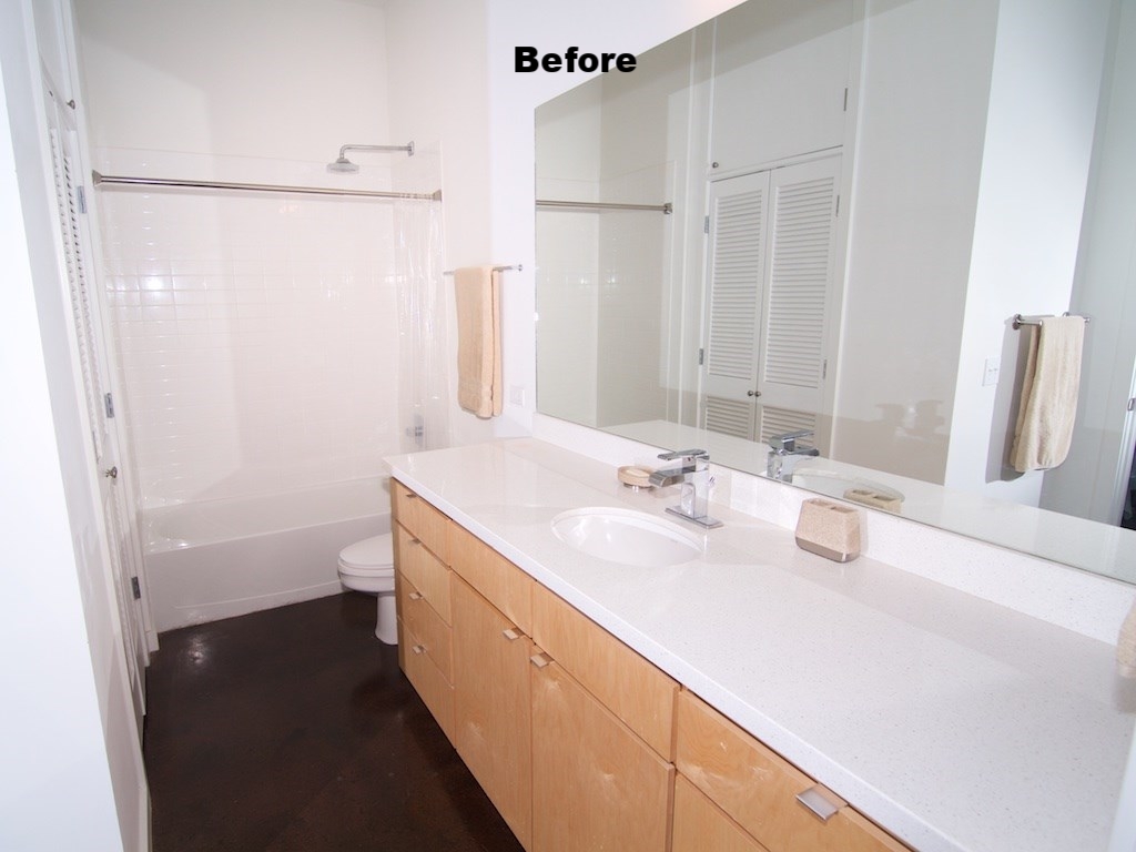 DowntownLoftSabineBathroomBefore.jpg