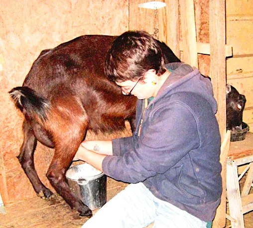 Everyday, twice a day...