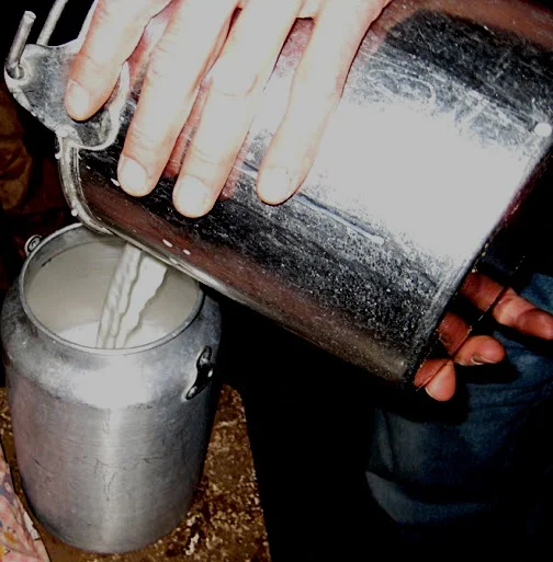 Fresh and delicious!