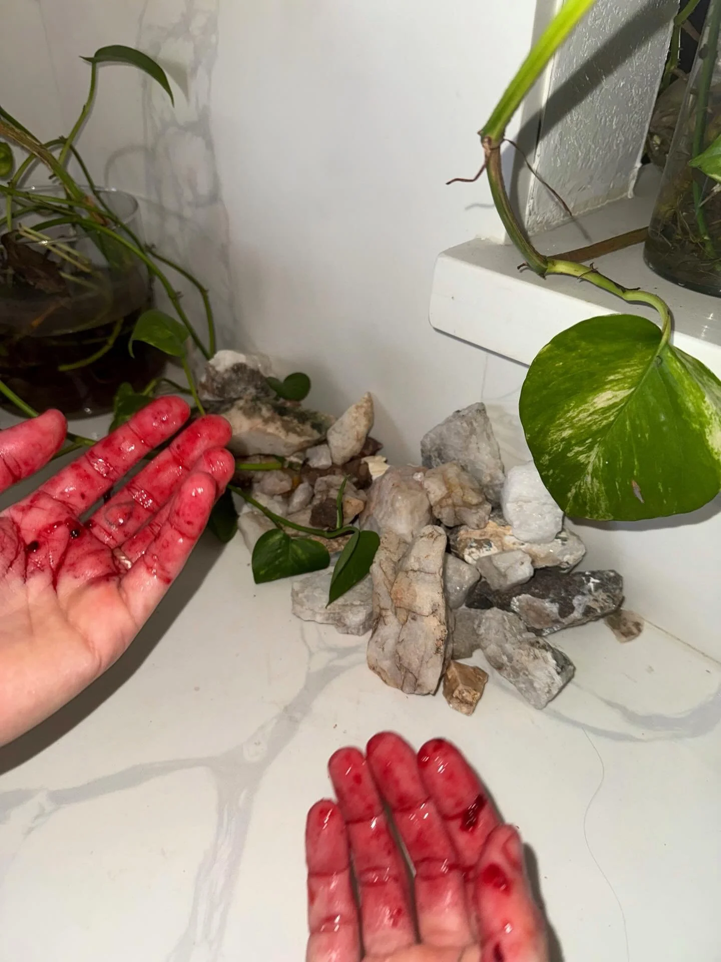 Shedded Snakeskin / Year of the Fire Horse 

🐦&zwj;🔥🪽