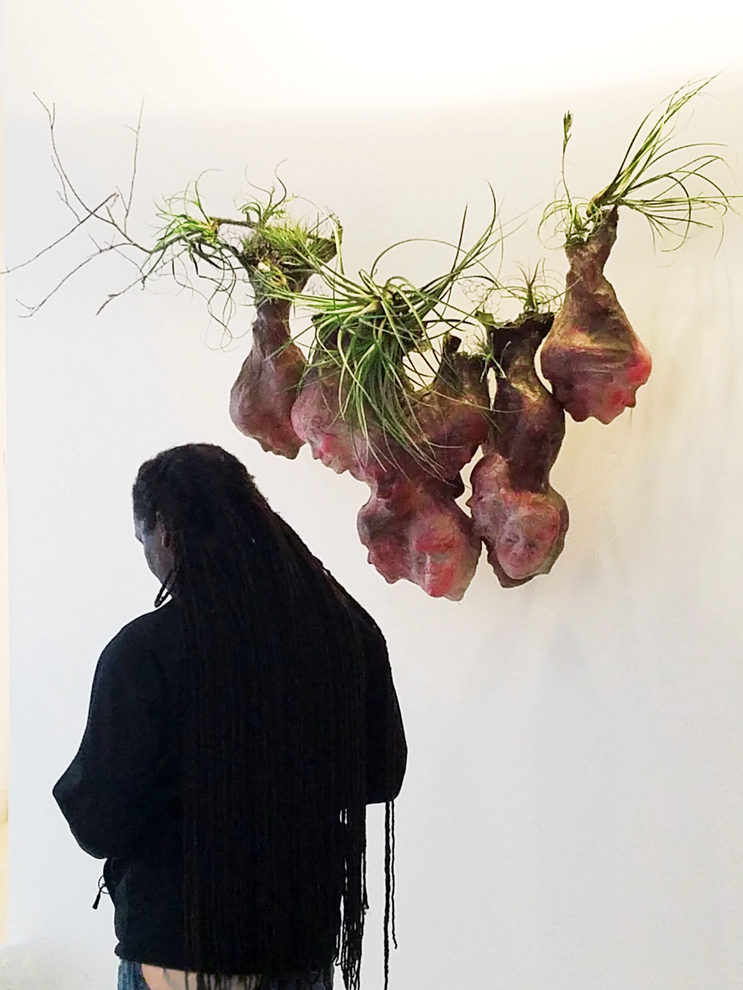 20181205_235625a.JPG
