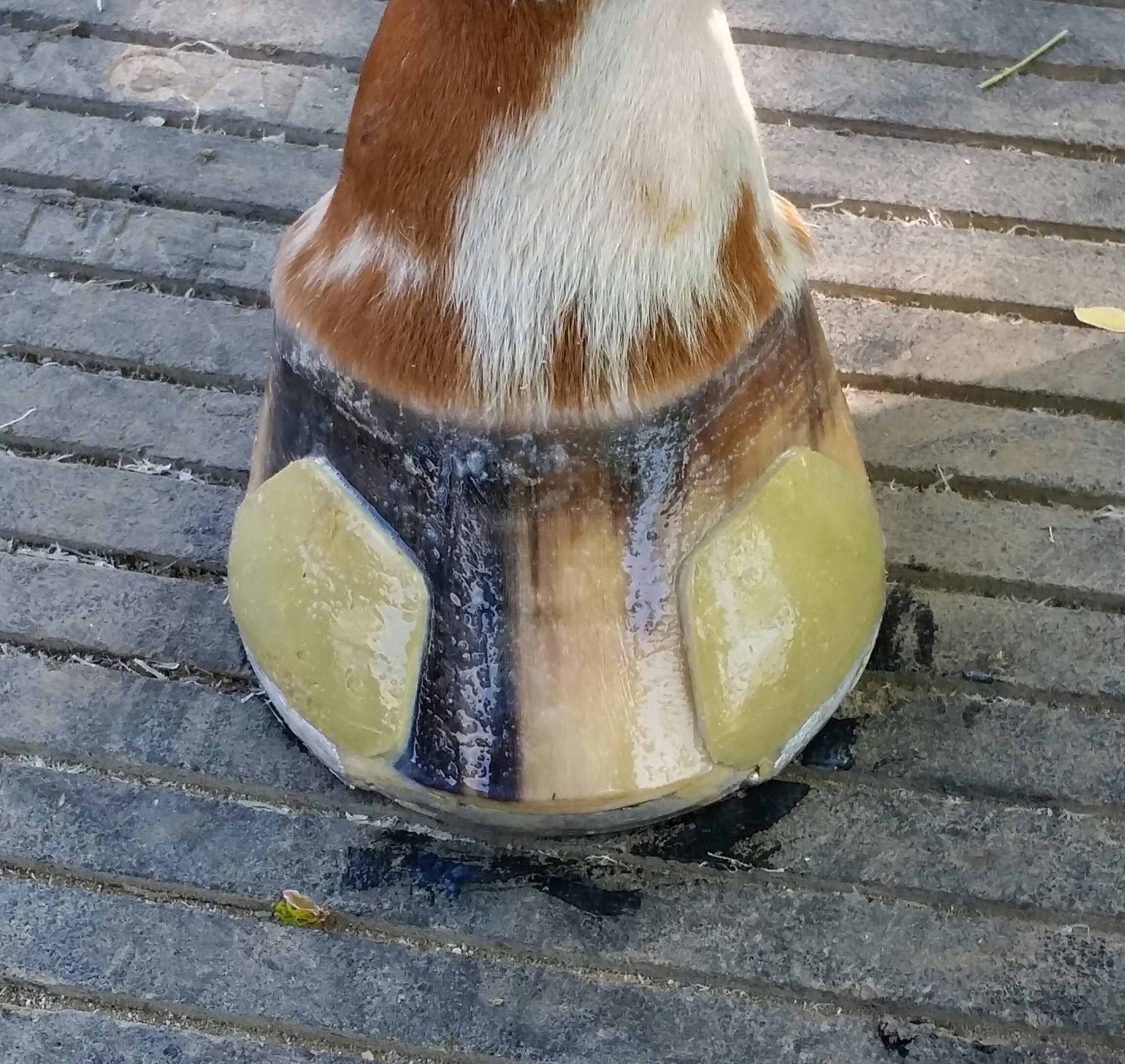 Ethos E-Tabs = Hoof Protection