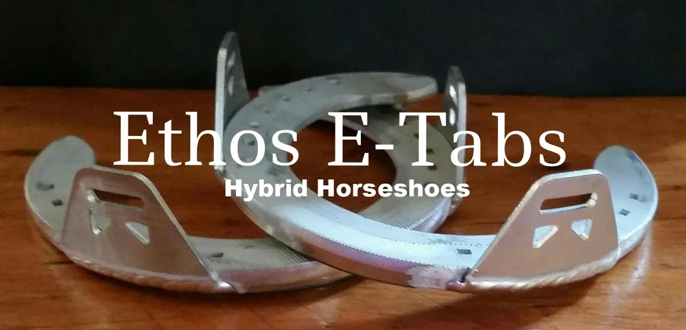 EthosEtabsHybridHorseshoes.jpg