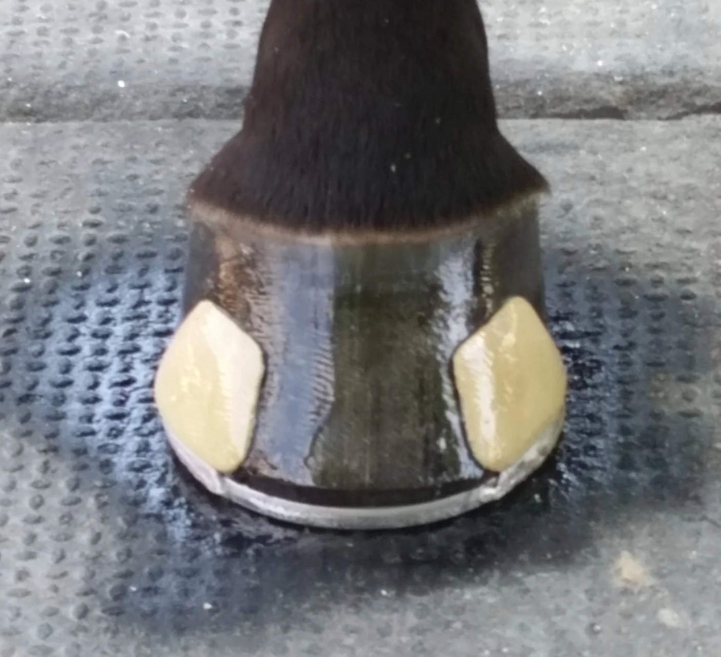 20140706_123839.jpg