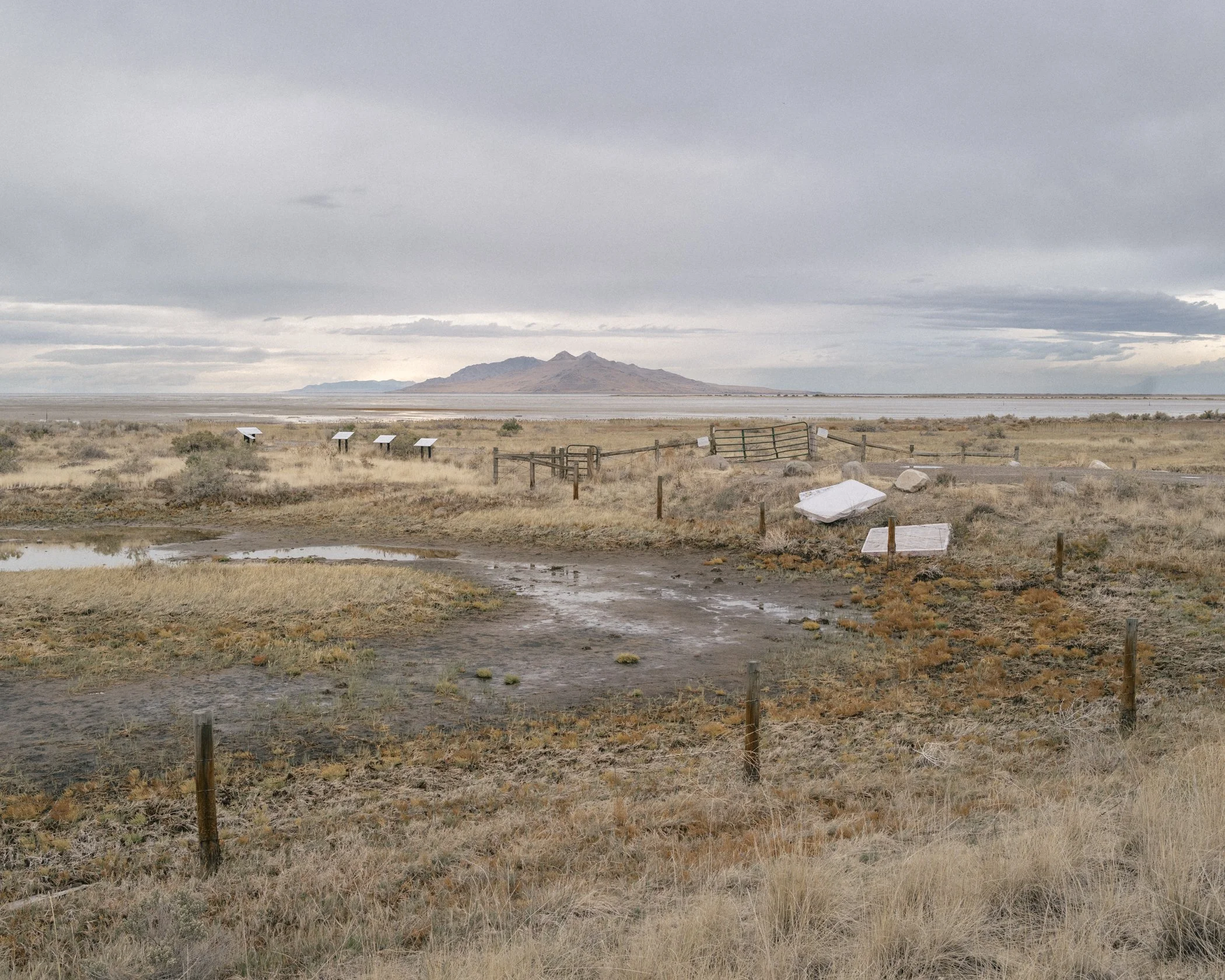 L1004672.jpg
