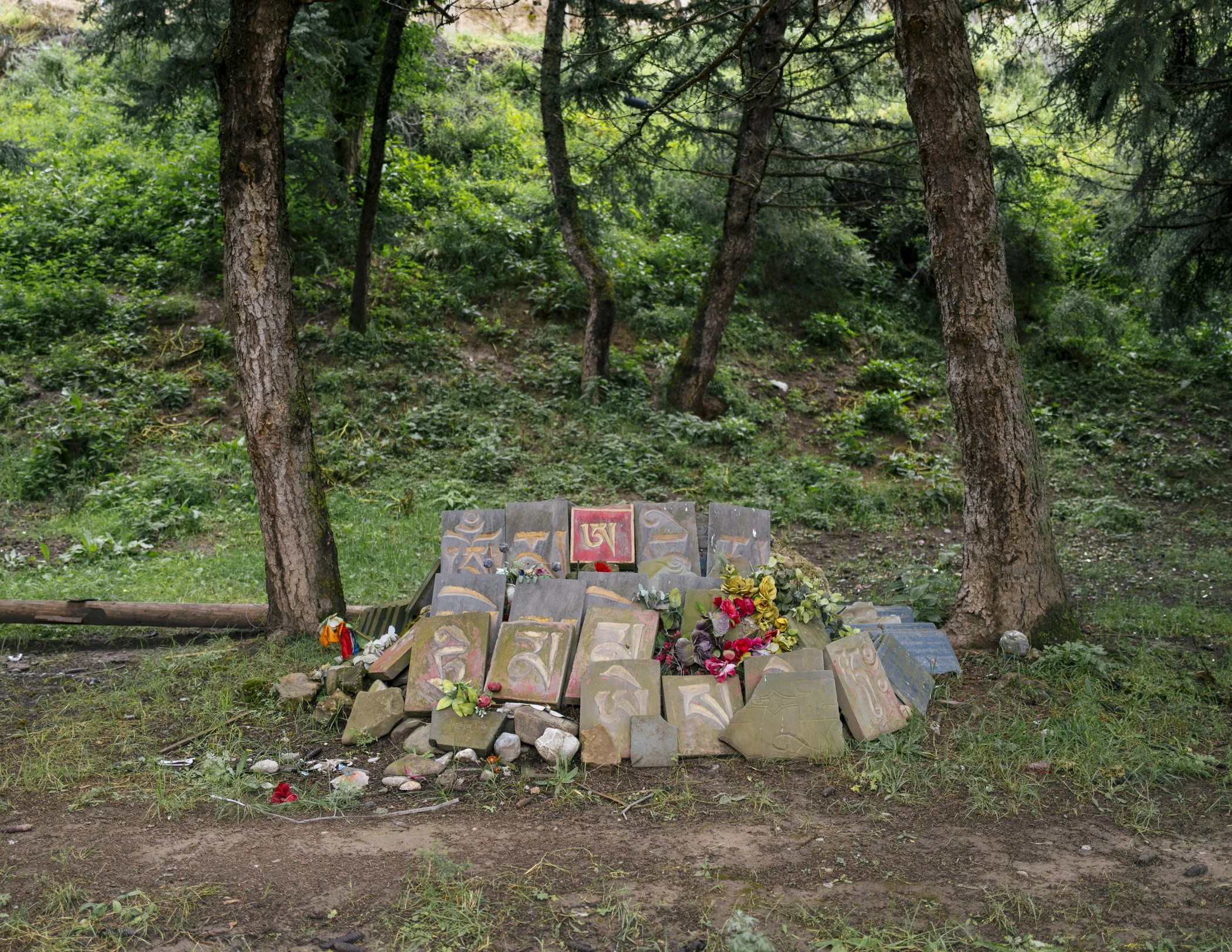 tibet_nicholasswan_leicaq2-8.jpg