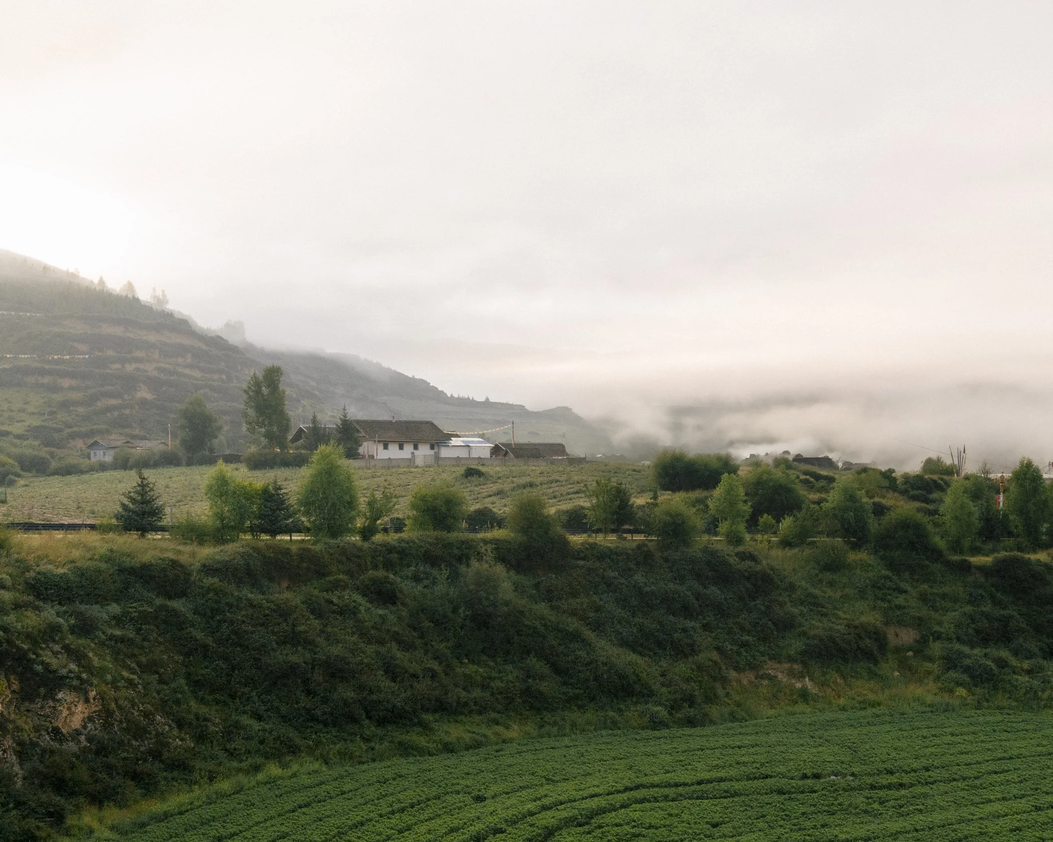 tibet_nicholasswan_leicaq2-38.jpg