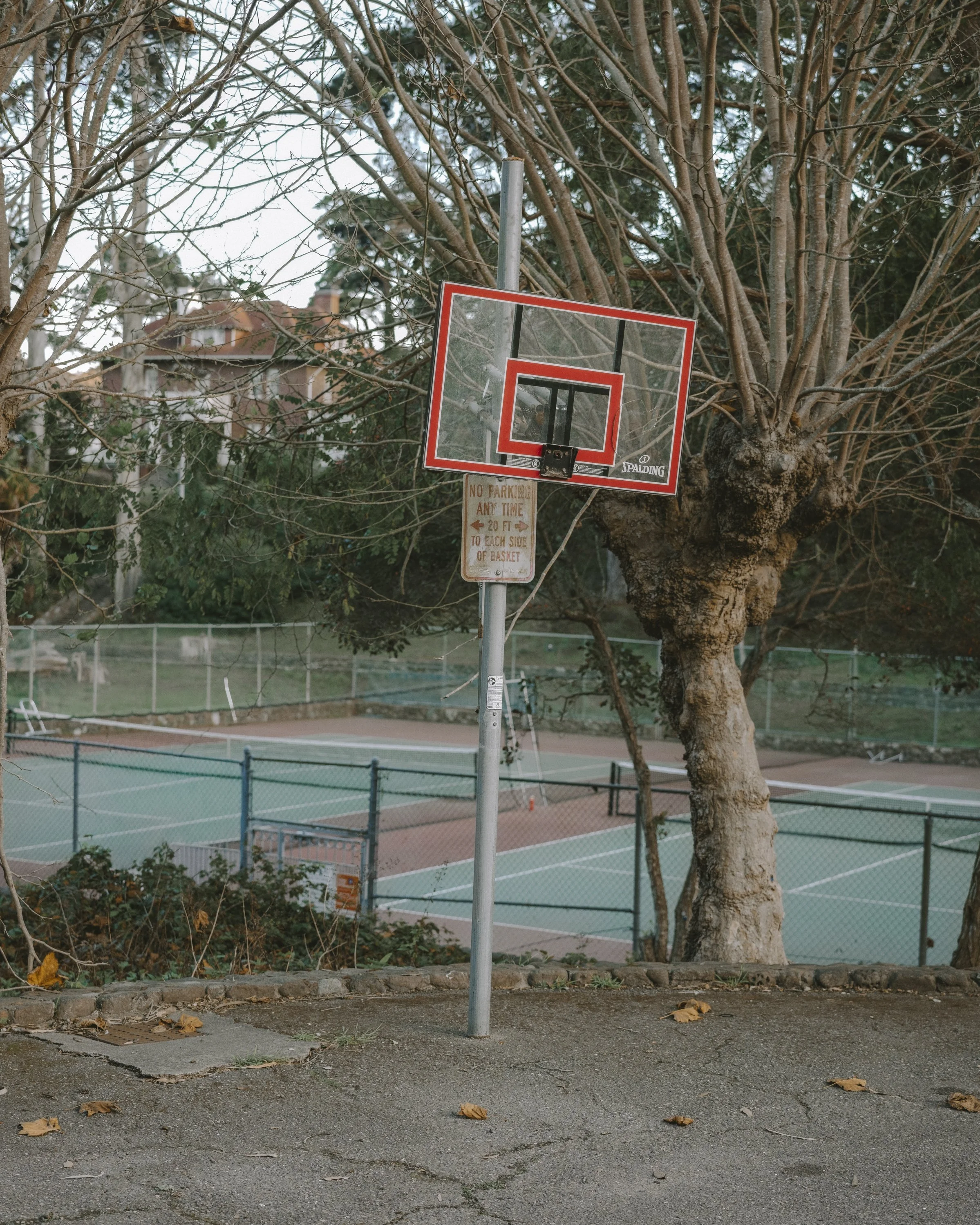 B00046833FR1764806420 2.jpg