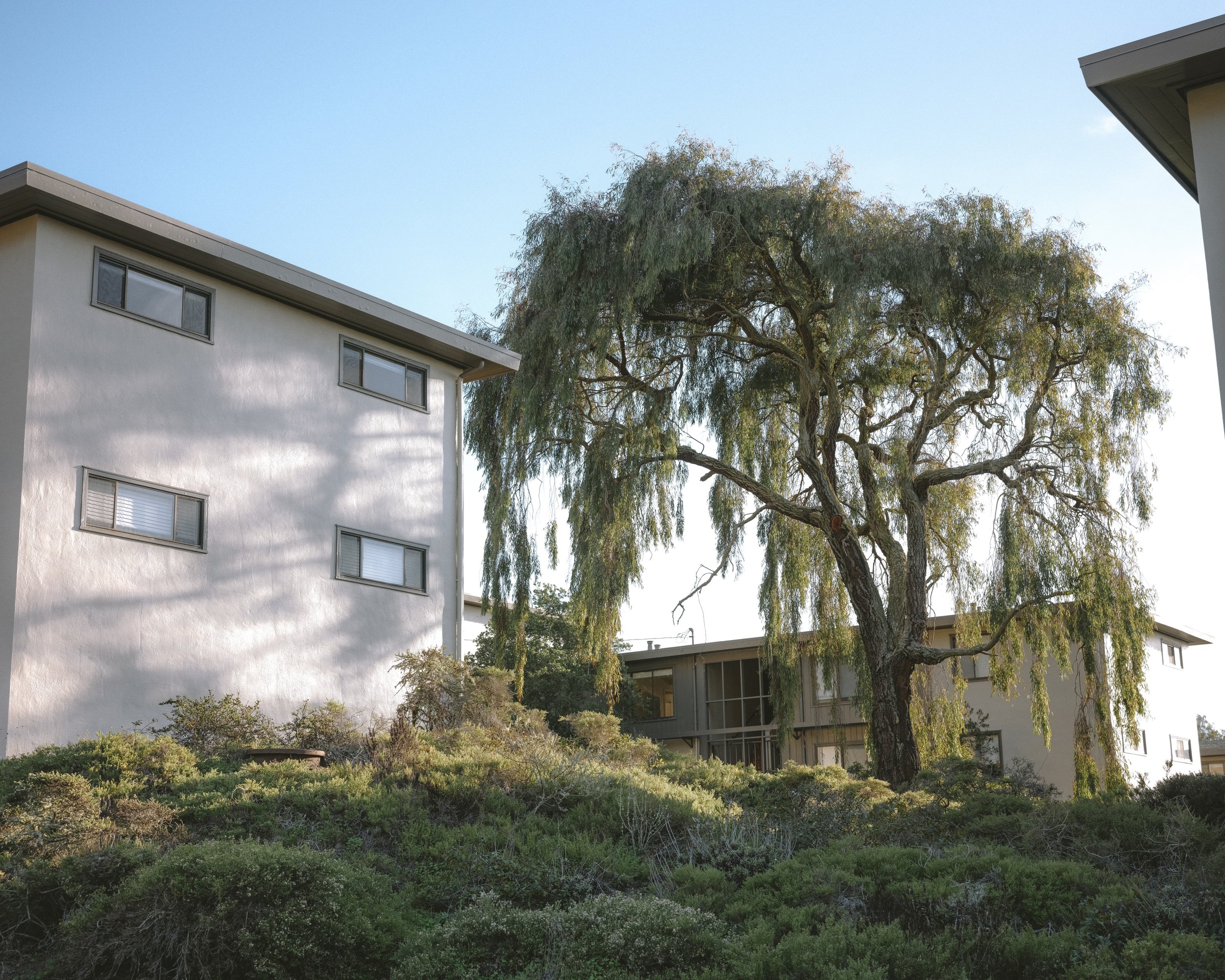 B00046203FR1764804273 2.jpg