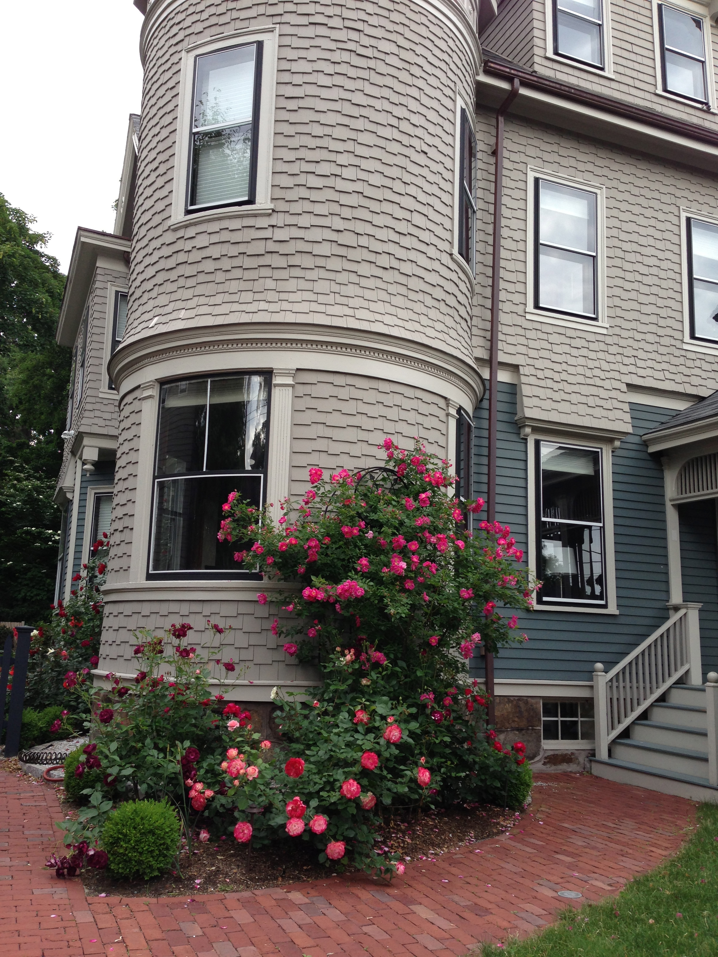 Queen Anne