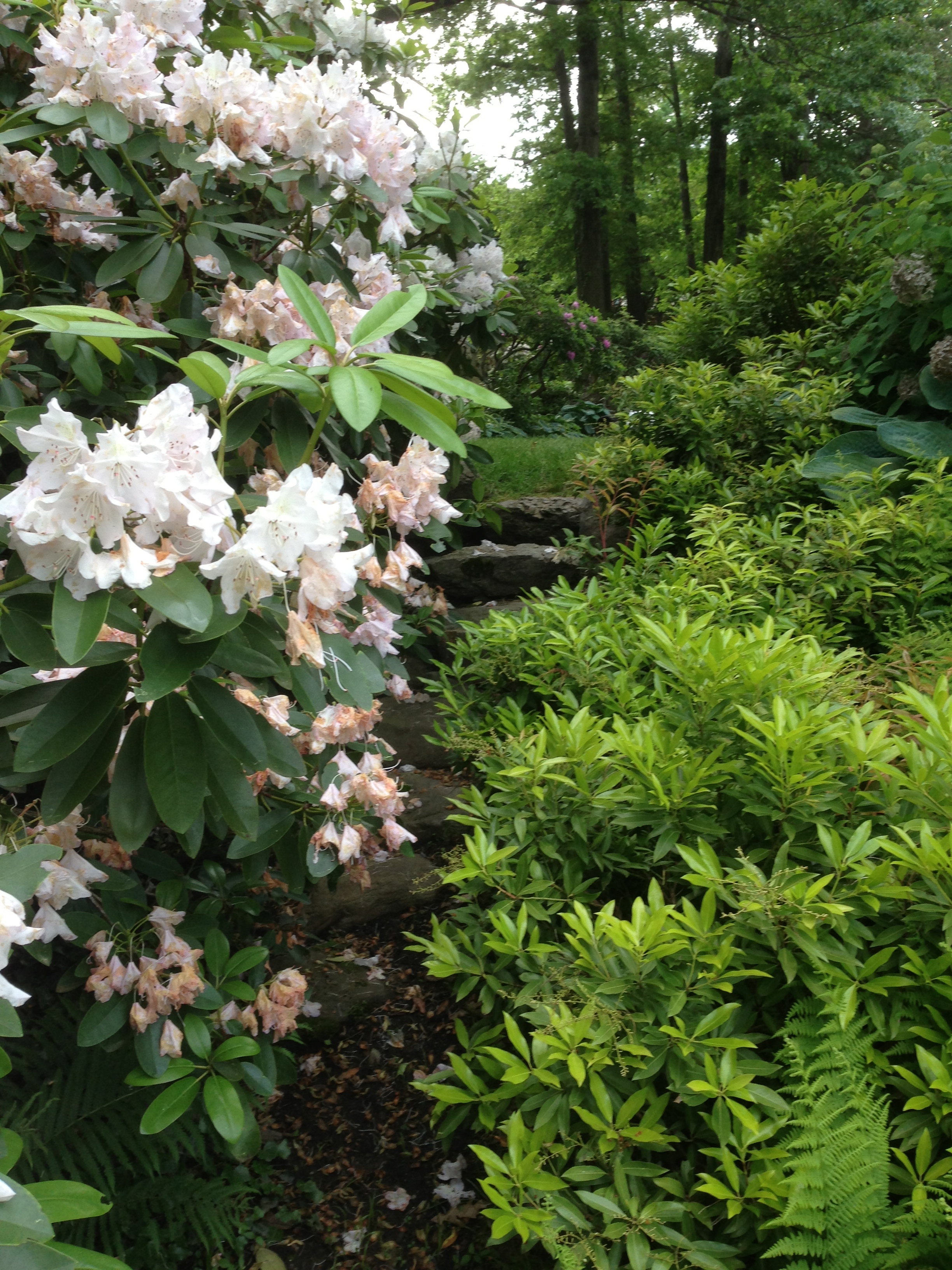 Hidden Stairs to the Valley/Storrow House