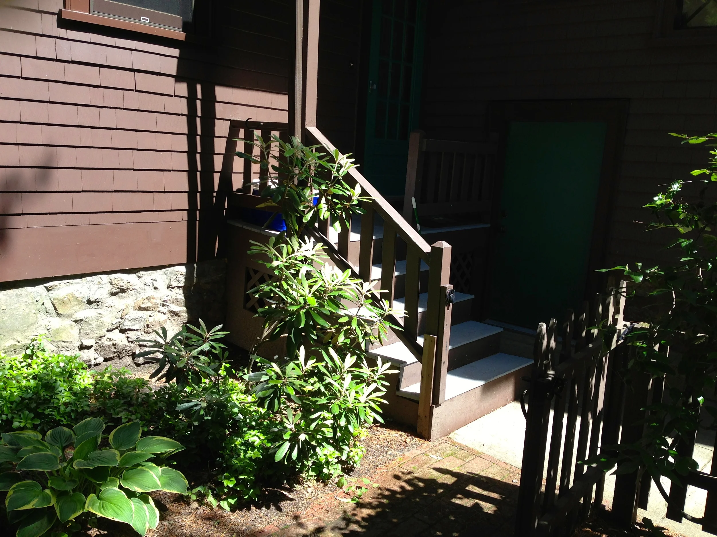 Old Back Stairs/Urban Oasis