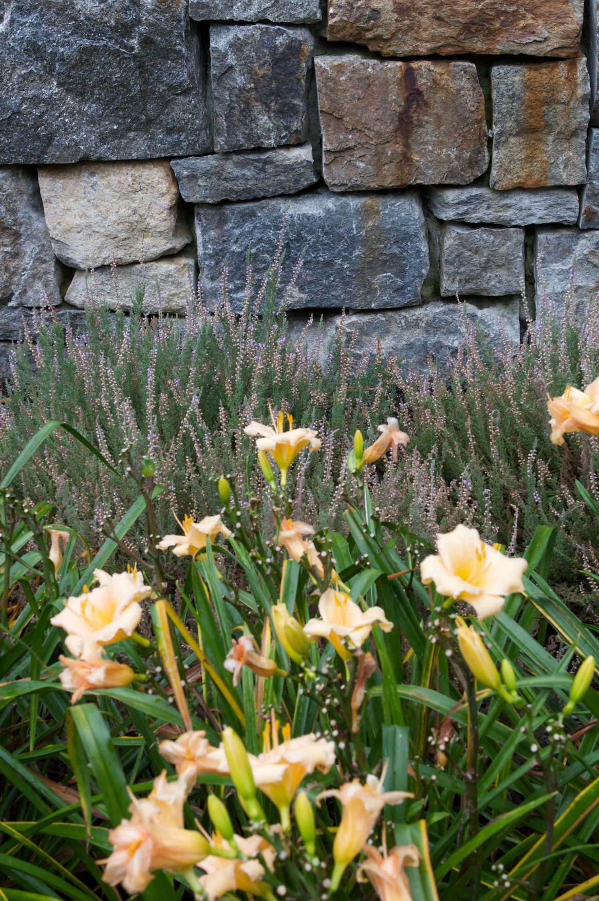 fieldstone wall.jpg