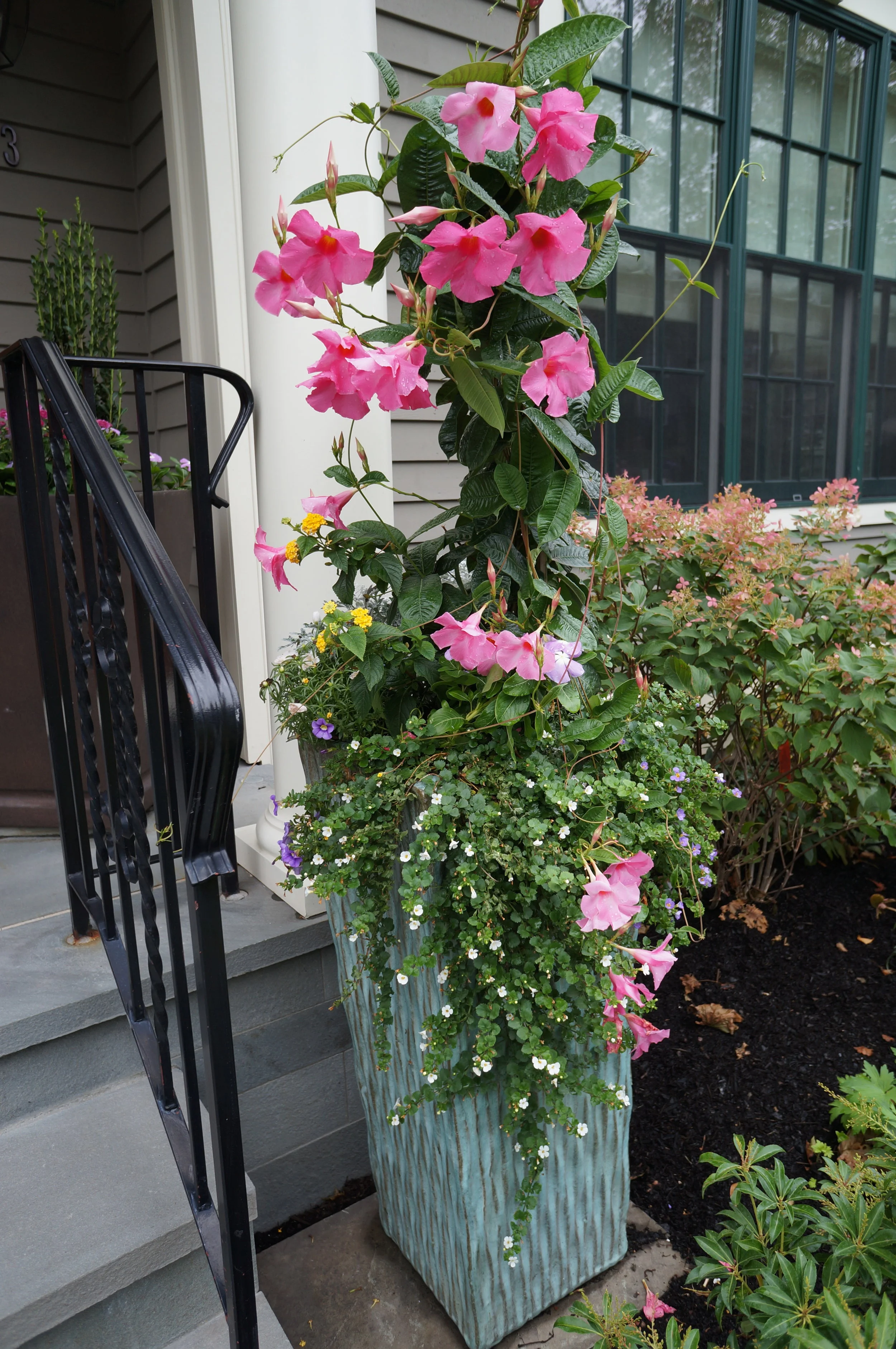  We sourced year round containers to set off the stair's new look. 