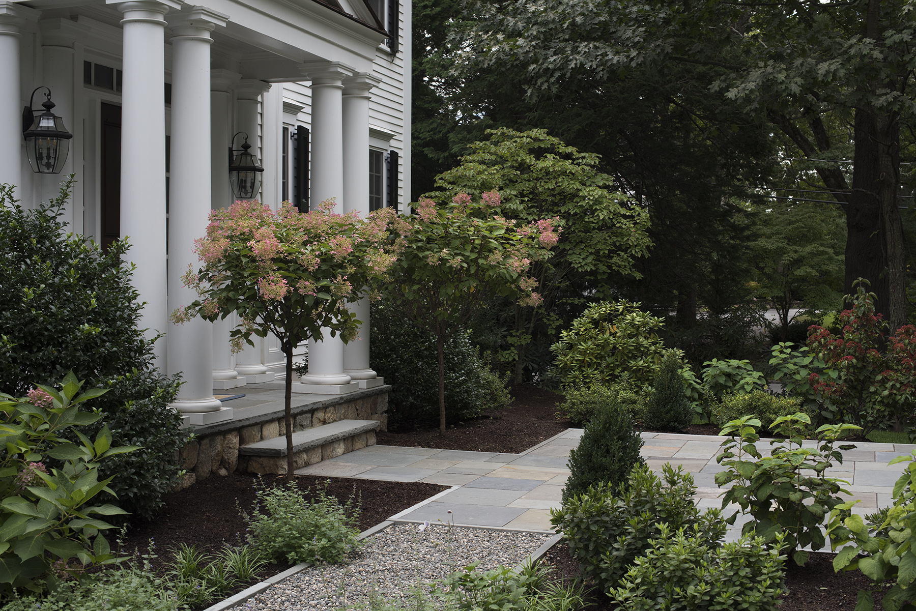 Two large hydrangeas flank the front door and a variety of evergreens and shade loving plants nestle in along the new stairs and landing.