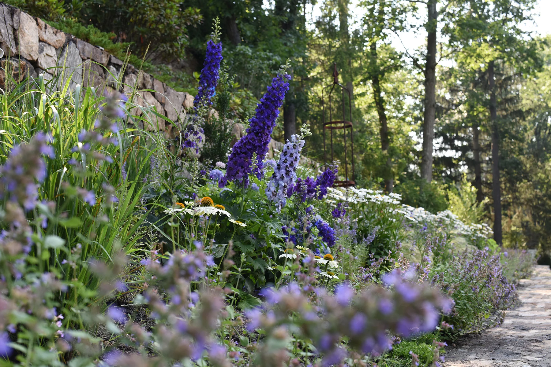 DSC_1069z.jpg