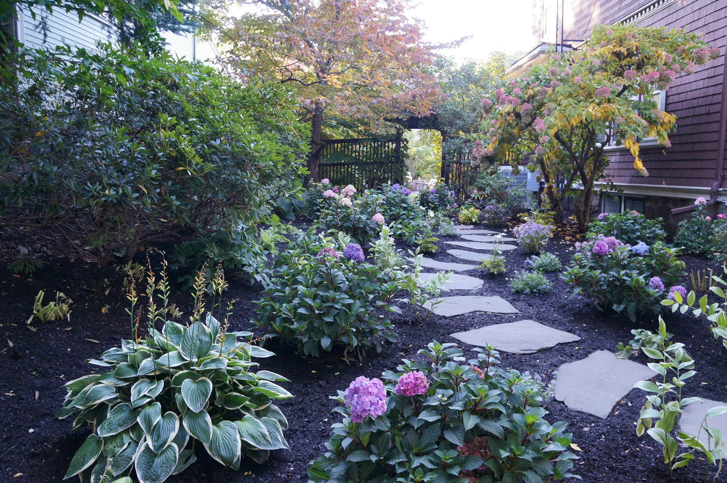 From Wellesley to Brookline with love!