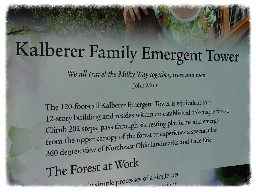 emergentTowerSignage7x15HoldenArb0922r.jpg