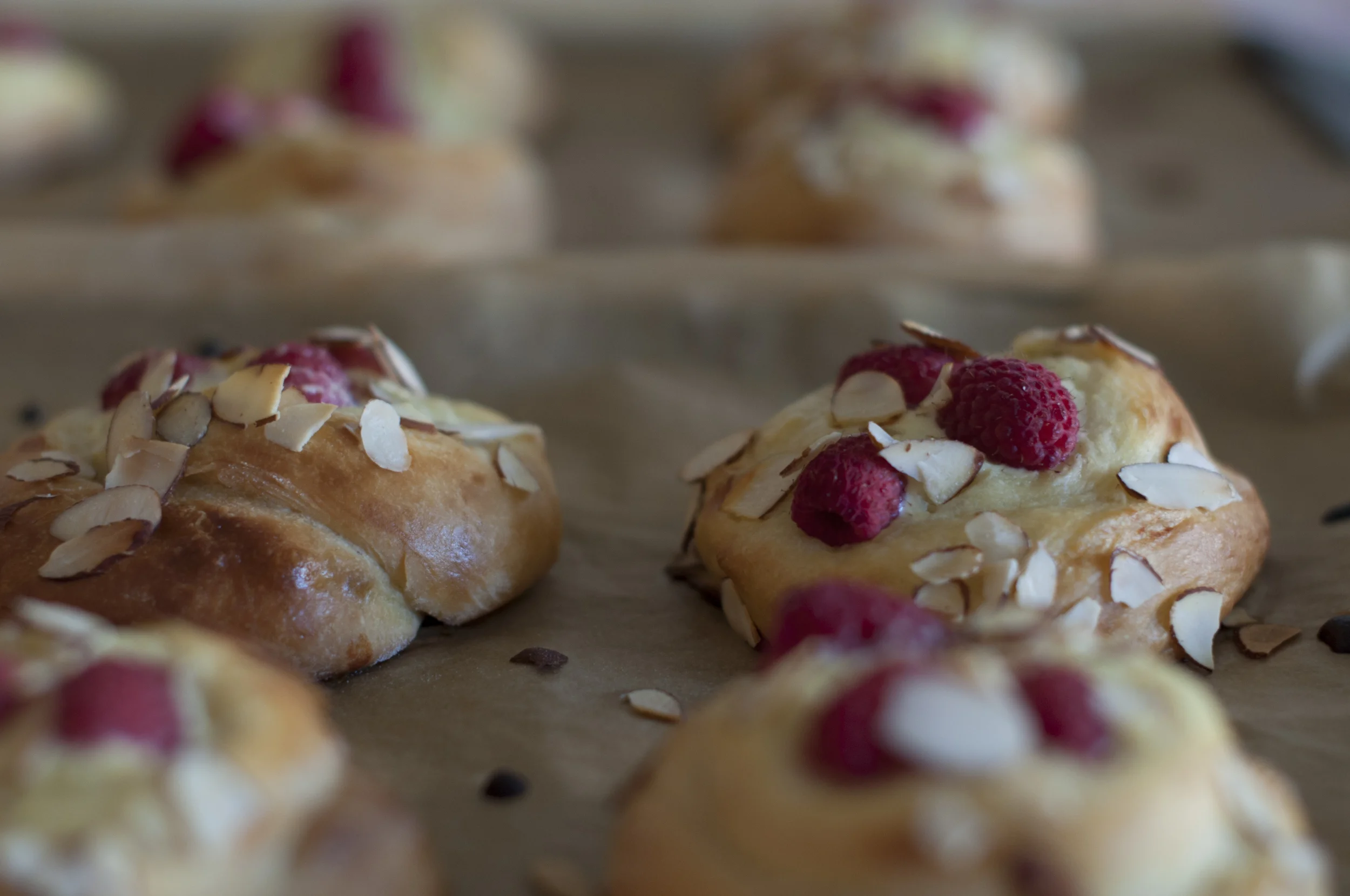 Sept1_BriocheBuns_02.jpg