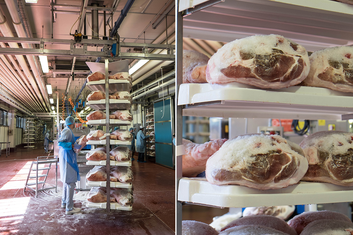 Prosciutto being salted. Did you know 70% of a pig's value are from it's 2 back legs?