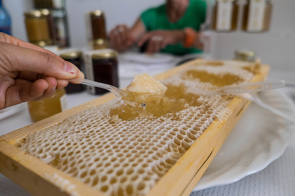 Fresh honeycomb with parmesano reggiano.