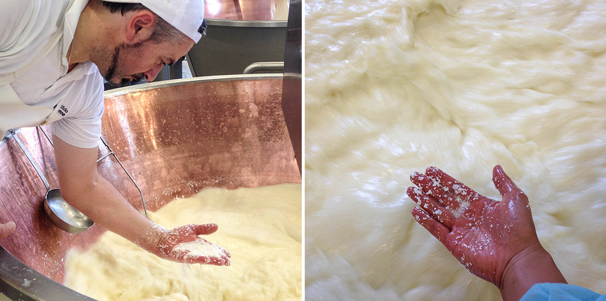 The smaller the curds, the more dry the cheese will become.