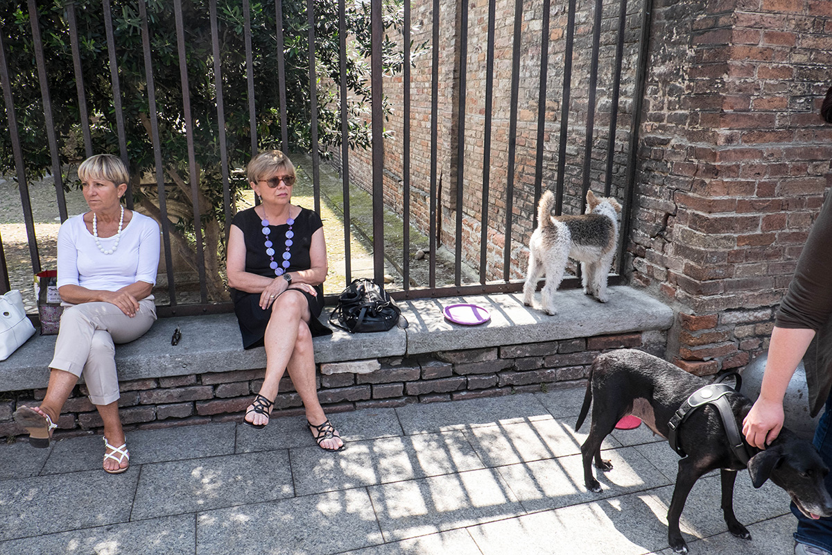 Locals of Bologna.