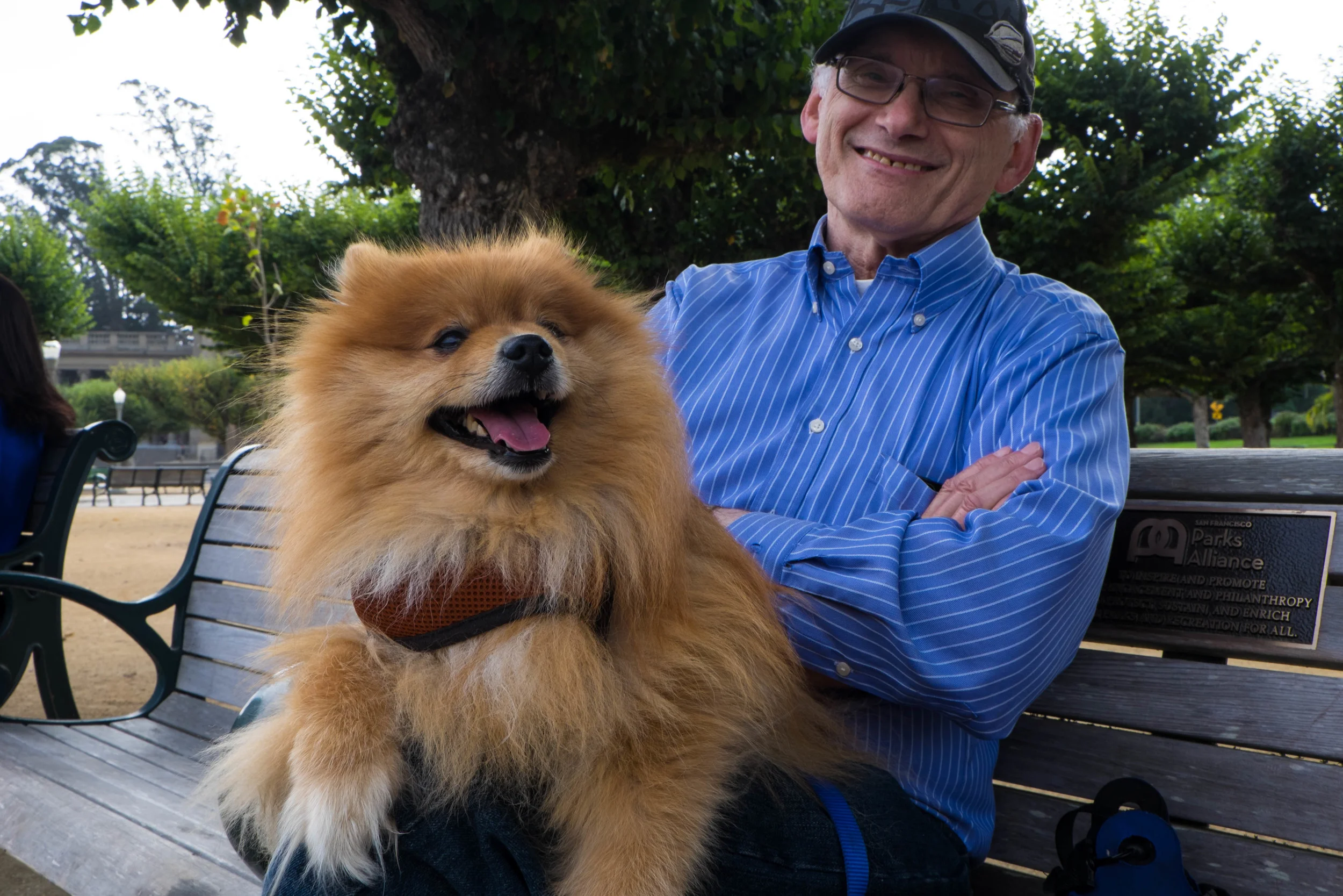 Golden Gate Park - a man with his 6 year old dog named Teddy. He comes to the park everyday to people watch.