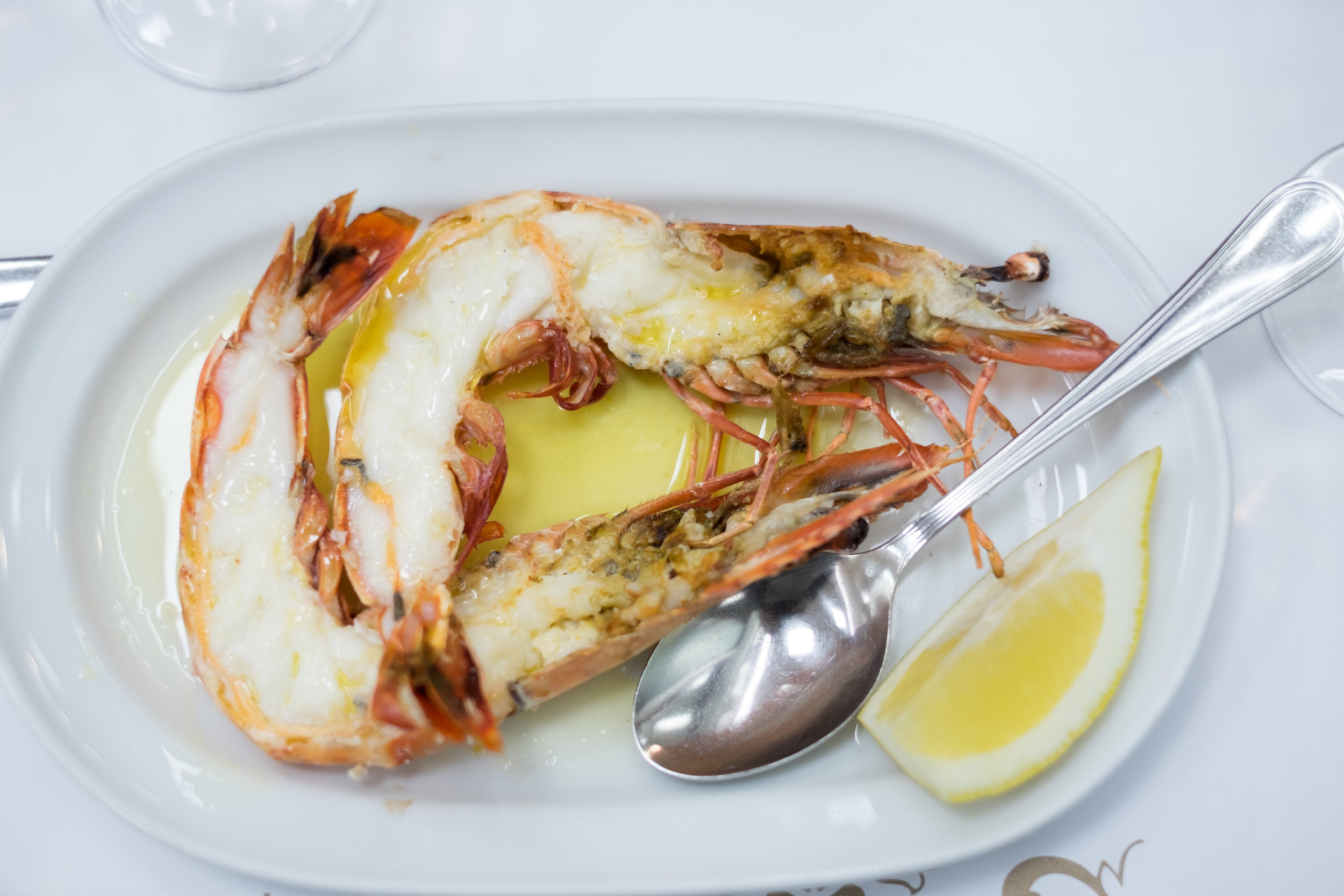 portugal2019-9752.jpg