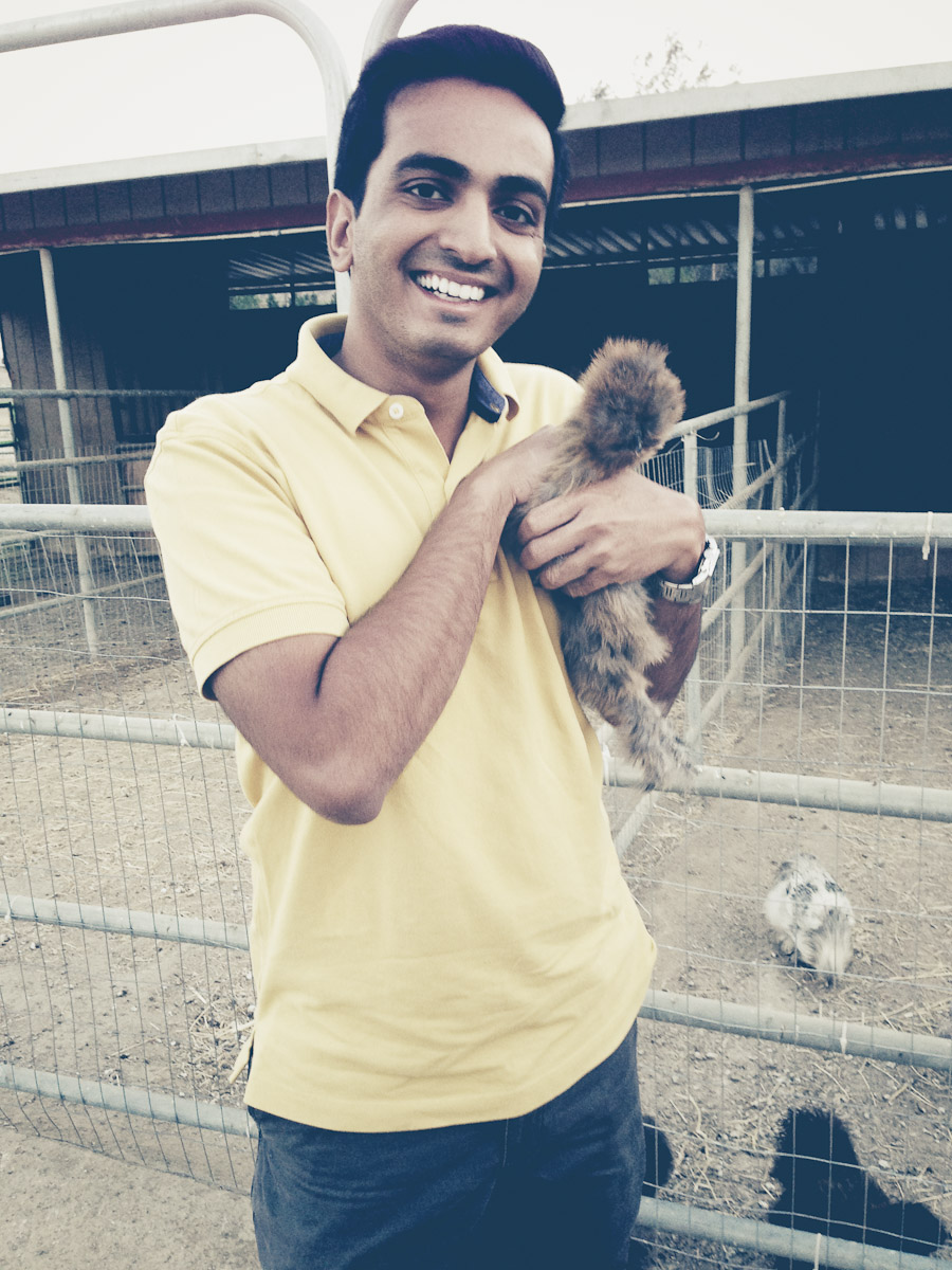 Holding the Chicken