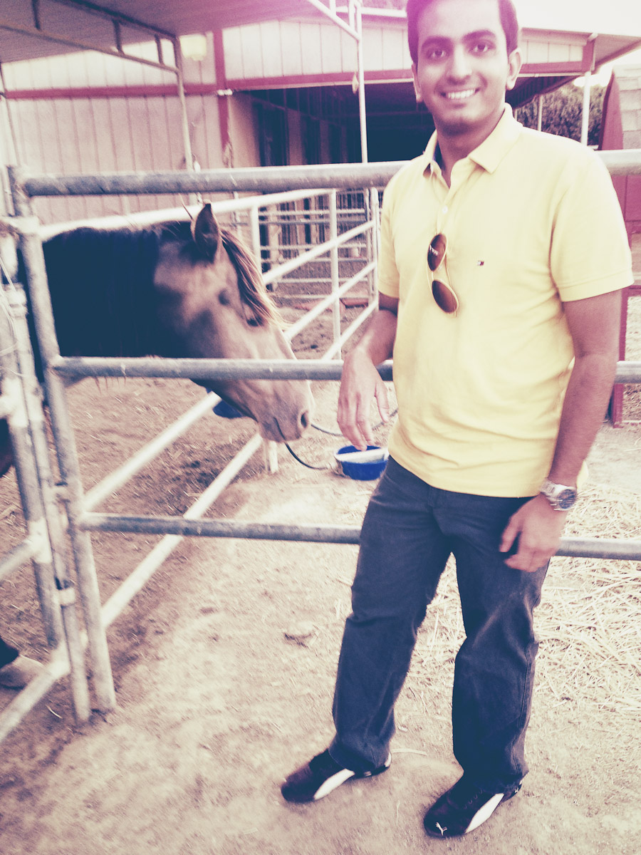 Horse 1