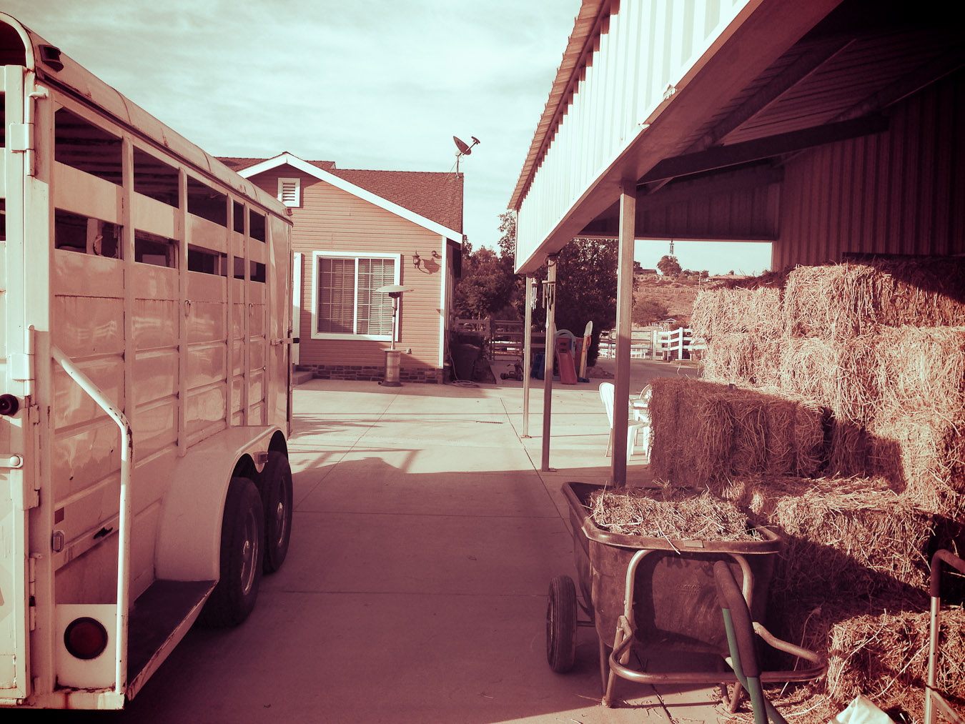 Trailer and Hay