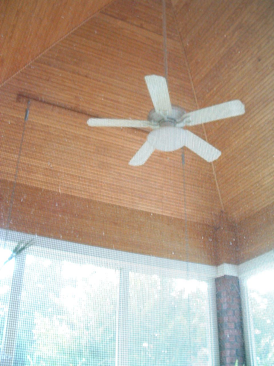 Screened Porch Ceiling