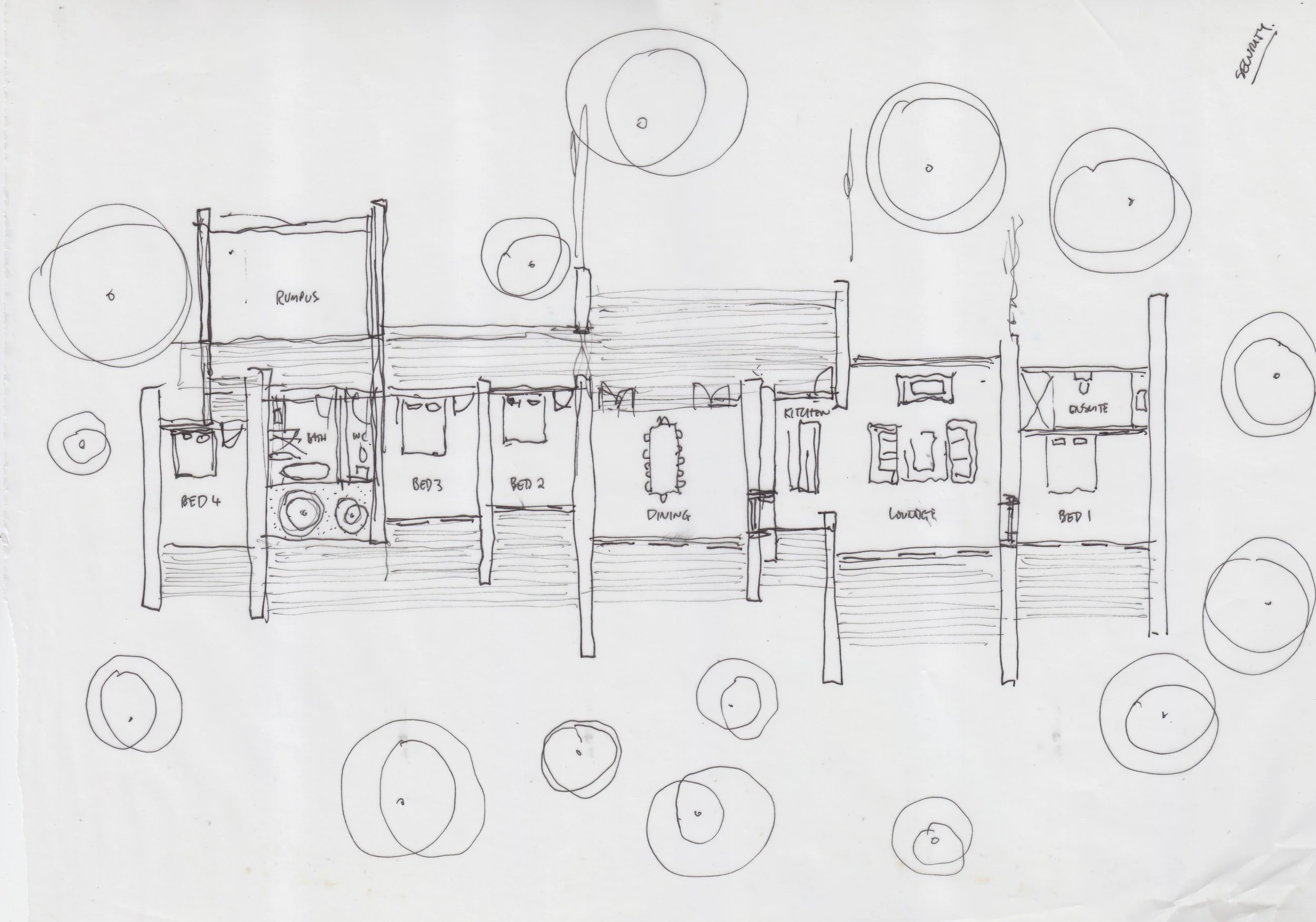 Ross_sketch19 copy.jpg