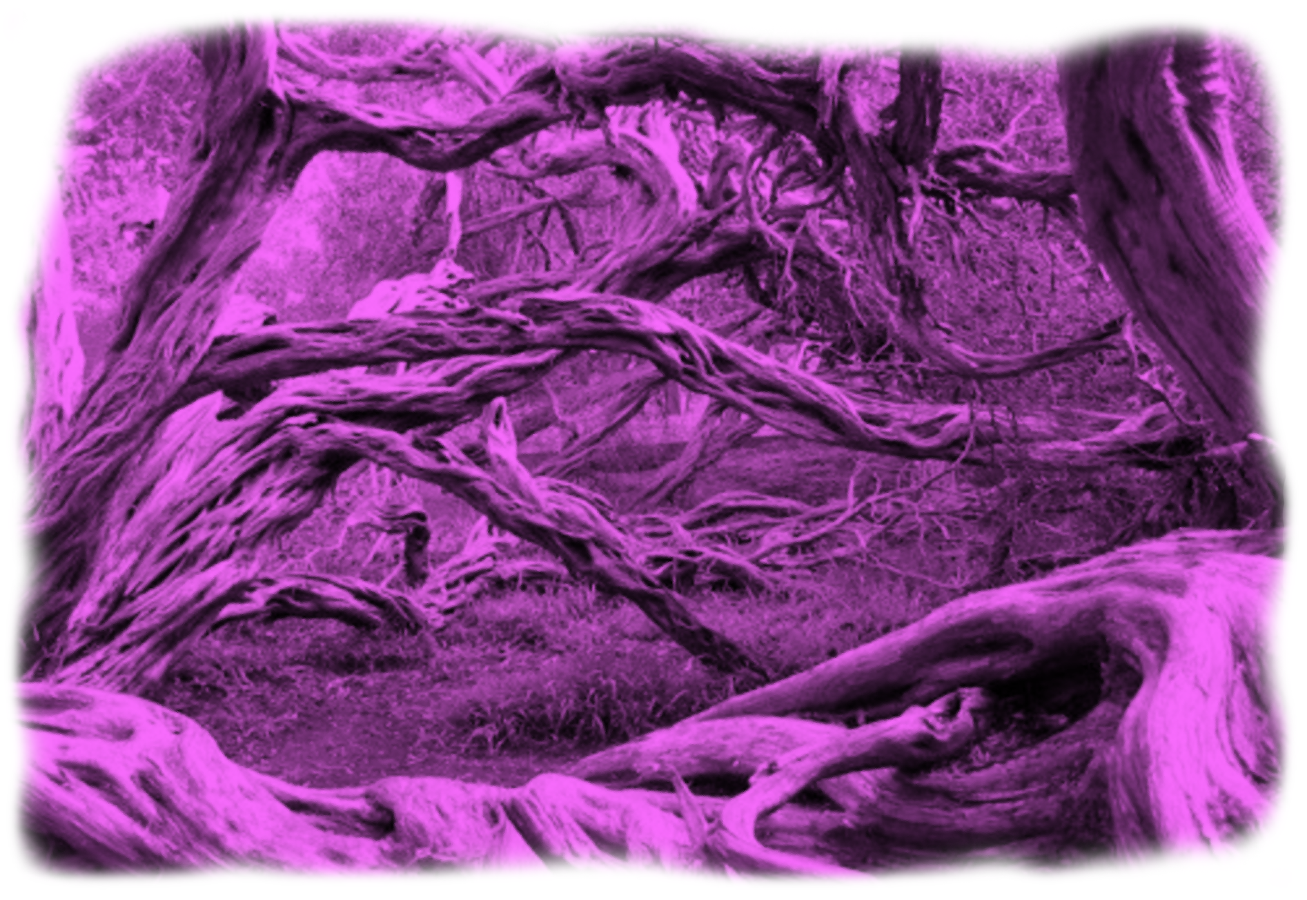 magenta_uneven_img.png
