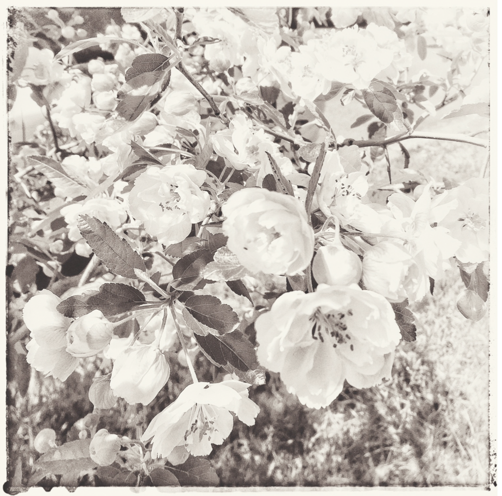 Screen Shot 2020-10-22 at 1.42.12 pm.png