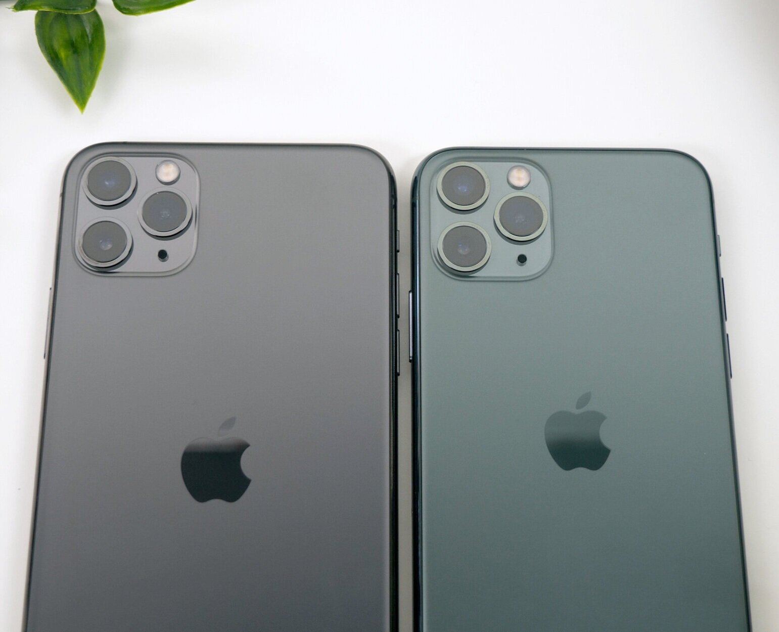 Iphone 11 Pro And Pro Max Unboxing First Impressions And Camera Test Zoneoftech