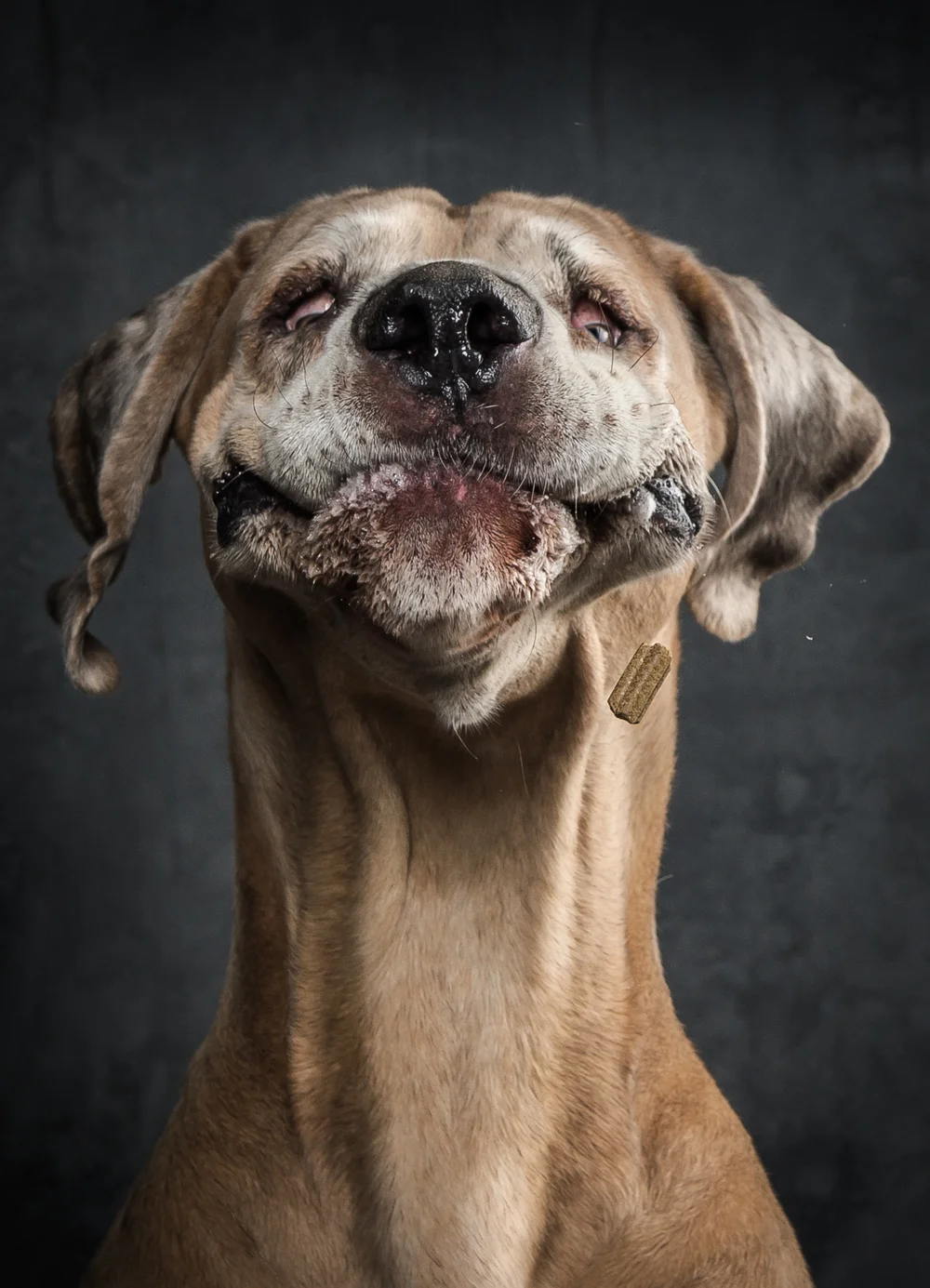 klausdyba-website2014-386.jpg
