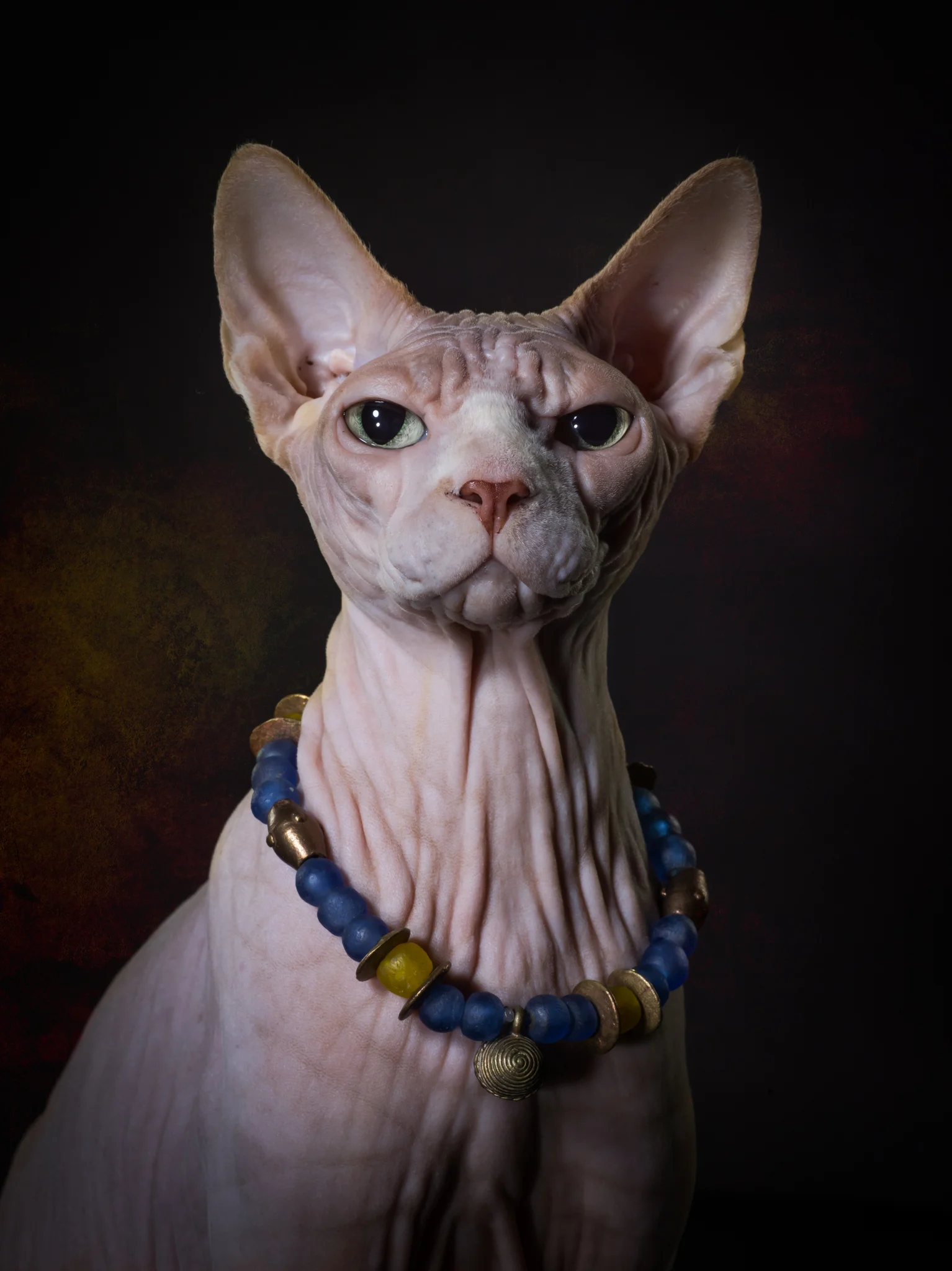 klaus-dyba-animal-portraits-18.jpg