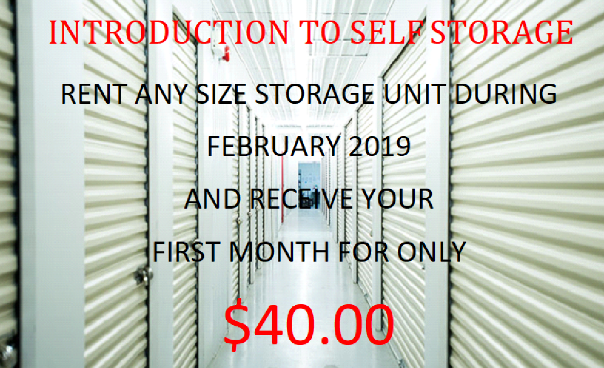 Feb 2019 special.png