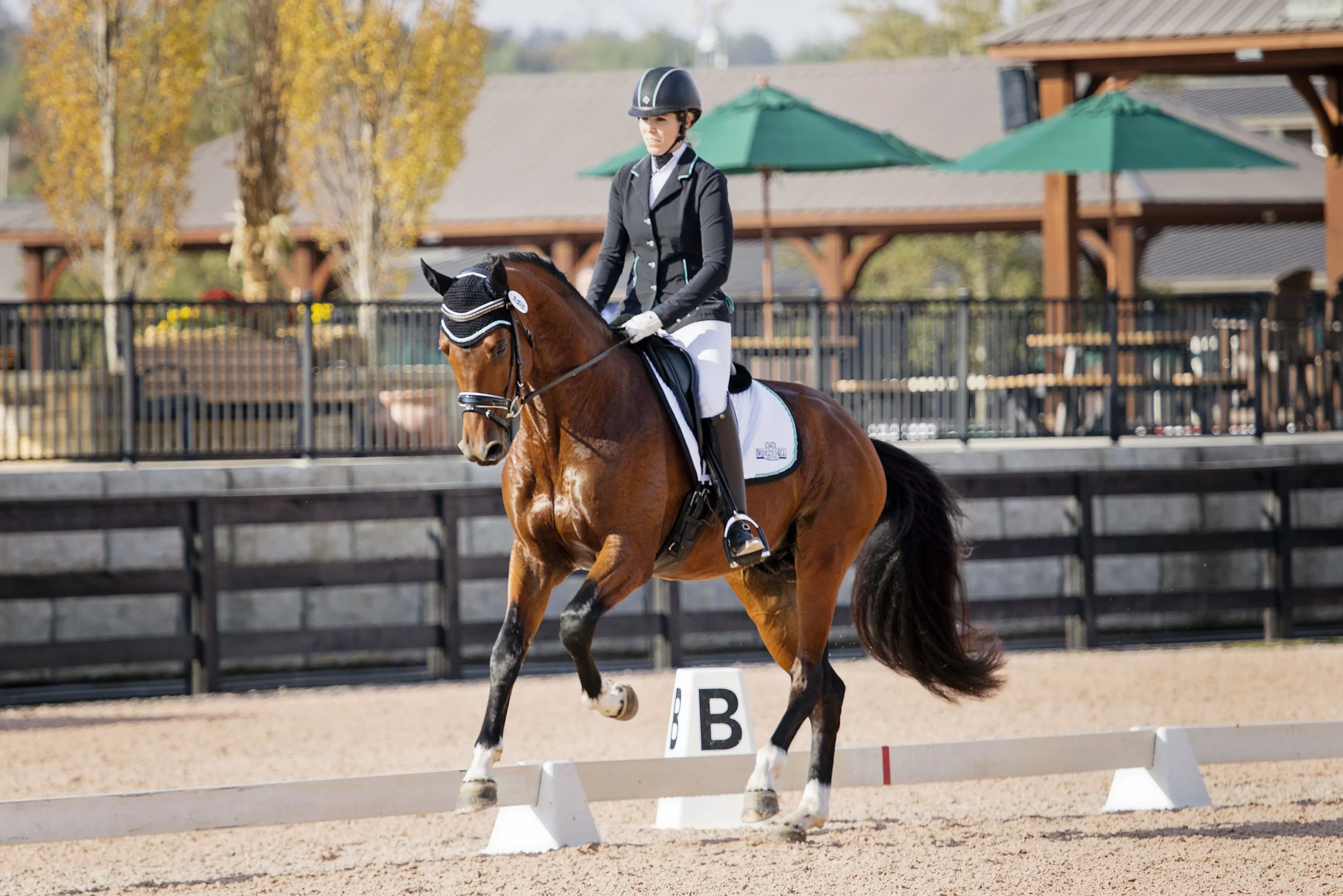 4YearOldDressageTestWinner_66_IMG_6306.jpg