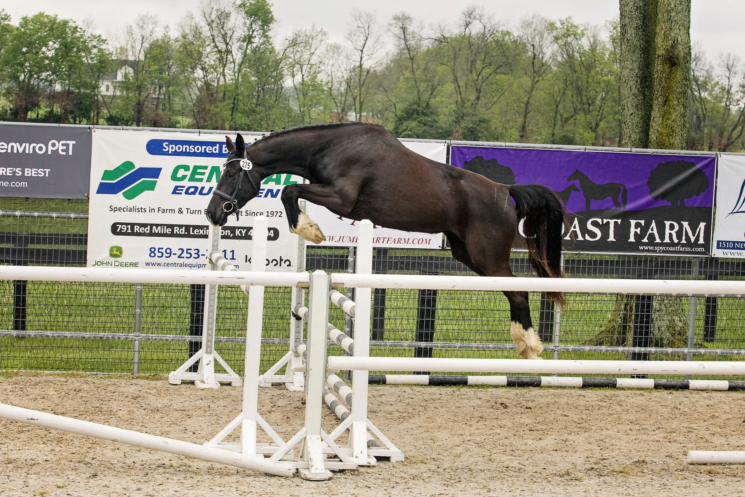 FourYearOldJumpChuteWinner_275Fierra_VDP_4022.jpg